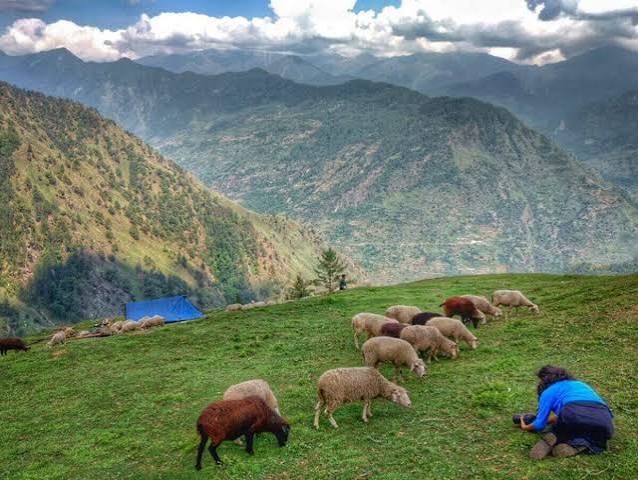Uttarakhand